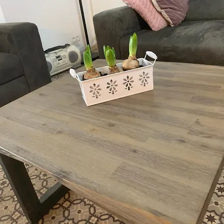 House Le Noyer 더뷔