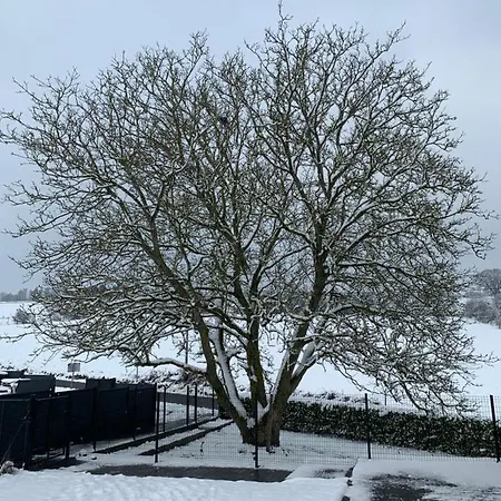 B&B House Le Noyer 4*